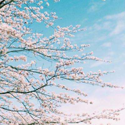 火狐官方网站手机app下载